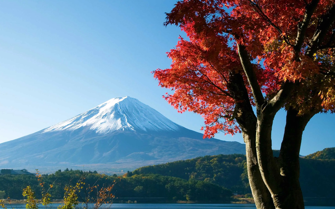 Japan Tour Package